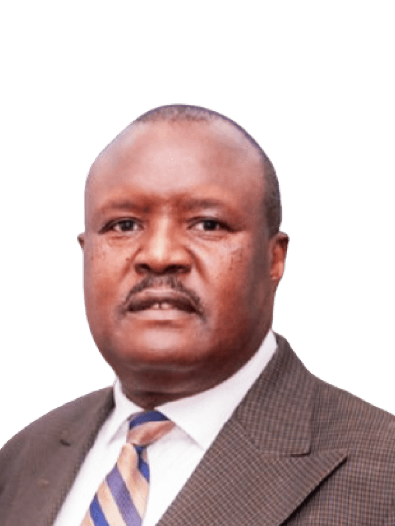 H.E Chief Fortune Charumbira