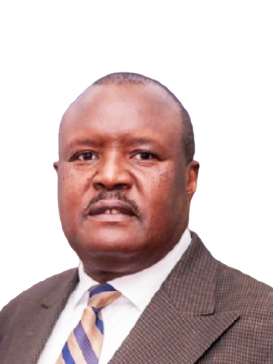 H.E Chief Fortune Charumbira