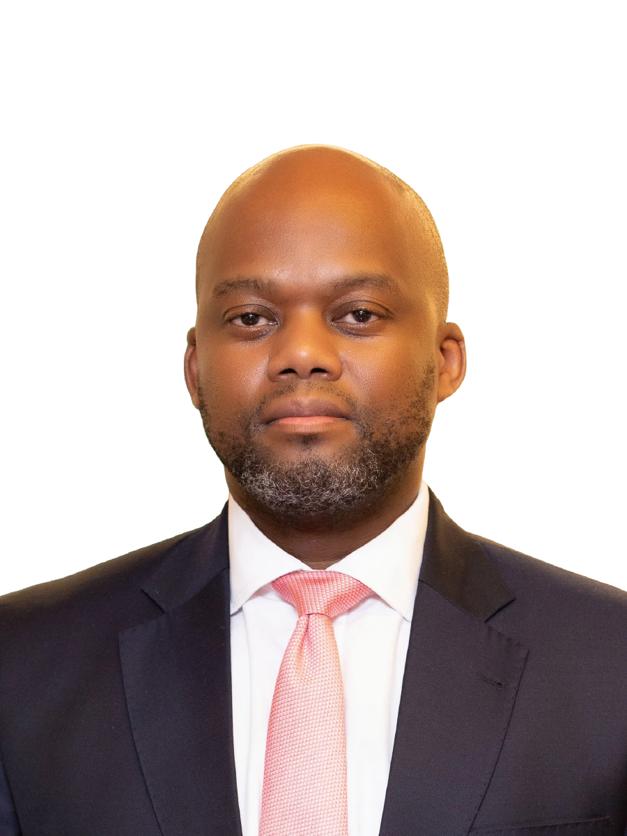 H.E. Wamkele Mene