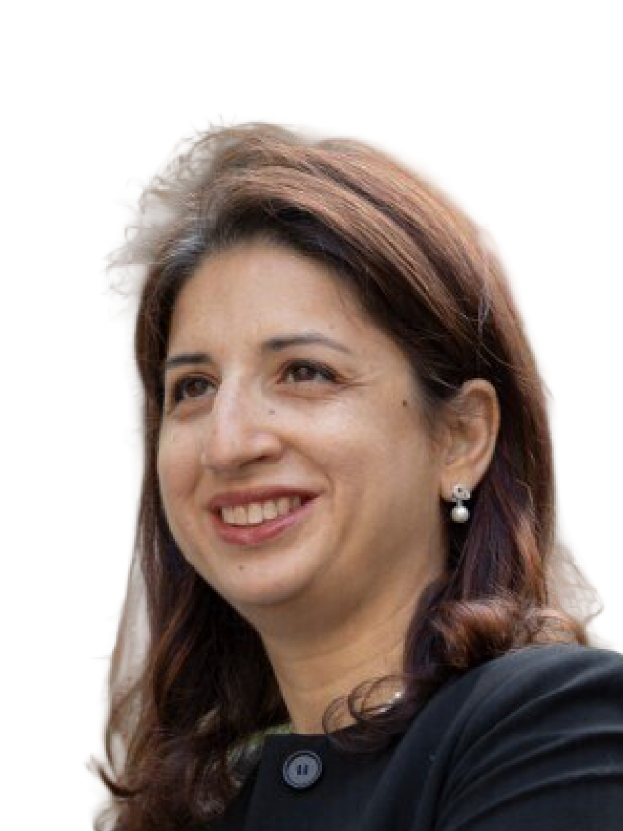 Faheen Allibho